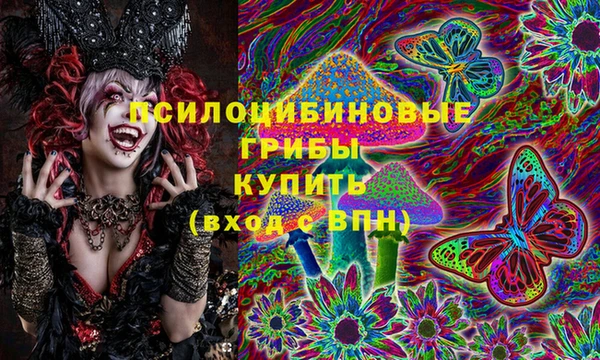 спайс Баксан