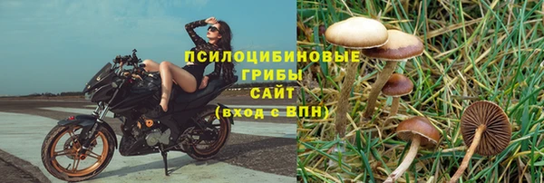 apvp Балабаново