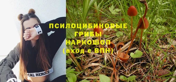 apvp Балабаново