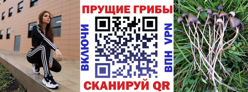 сколько стоит  Печоры  Псилоцибиновые грибы ЛСД 